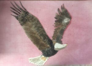 Bald Eagle Monotype