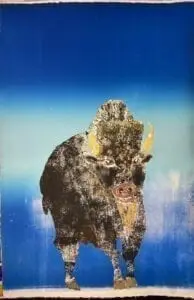 Rogue Buffalo Monotype