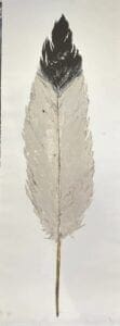 Eagle Feather Monotype