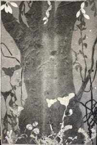 Mysterious Cottonwood Monotype